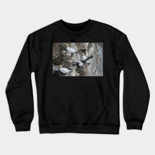 Stretch Crewneck Sweatshirt